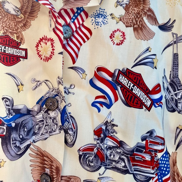 Harley Davidson Tank - Picture 3 of 4